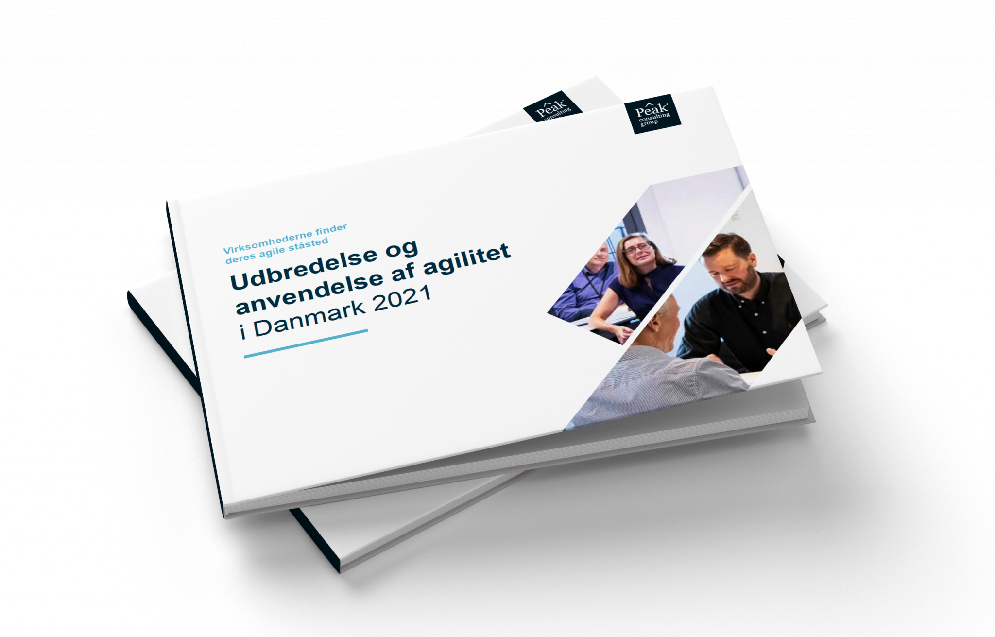 Den agile undersøgelse 2021