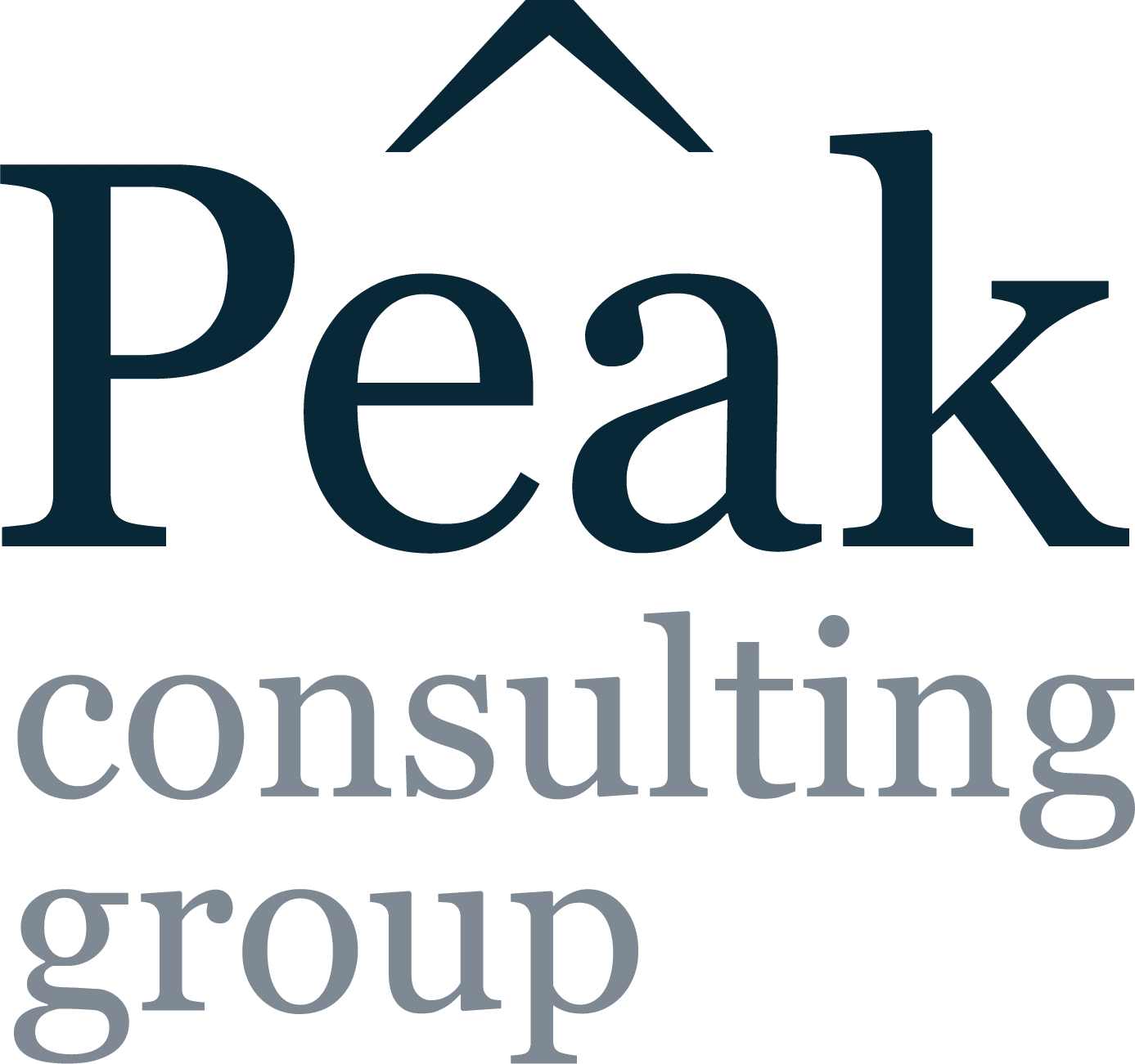 Peak logo mørk